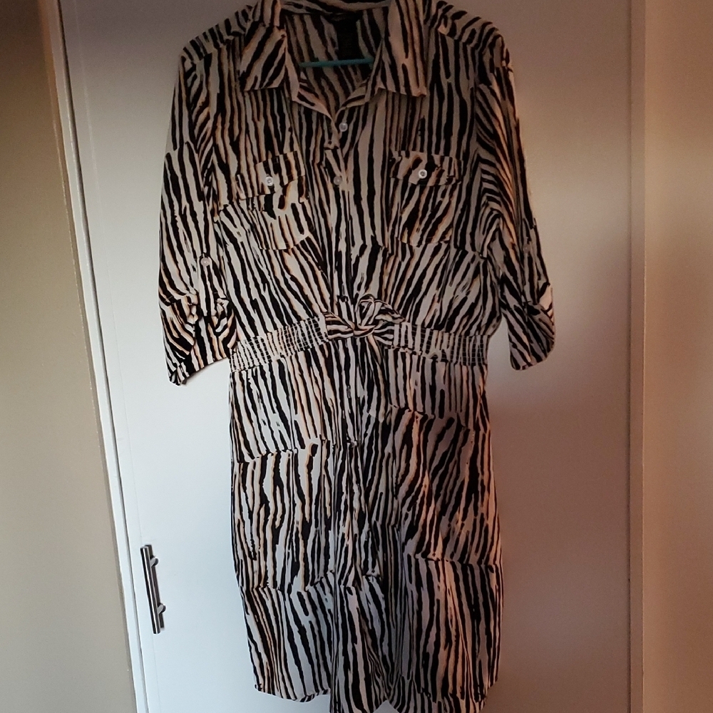 Designer Brand Chic Zebra Print Long Sleeve Dress